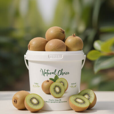 Buy 300ml~10L Breathable Fresh Keeping Fruit Packaging Bucket with Lid Handle Fruit Storage Bucket for Kiwi Fruit online manufacture