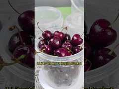 1L Plastic Bucket for Condensed Milk Honey Ice Cream Food Grade Clear Storage Container