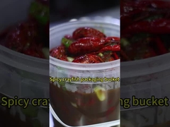 Clear Food Plastic Buckets With Lids